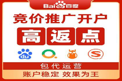 竞价推广公司案例：实战技巧与策略